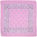 Bandanas Accessories (1 Pack)
