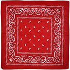 Bandanas Accessories (1 Pack)